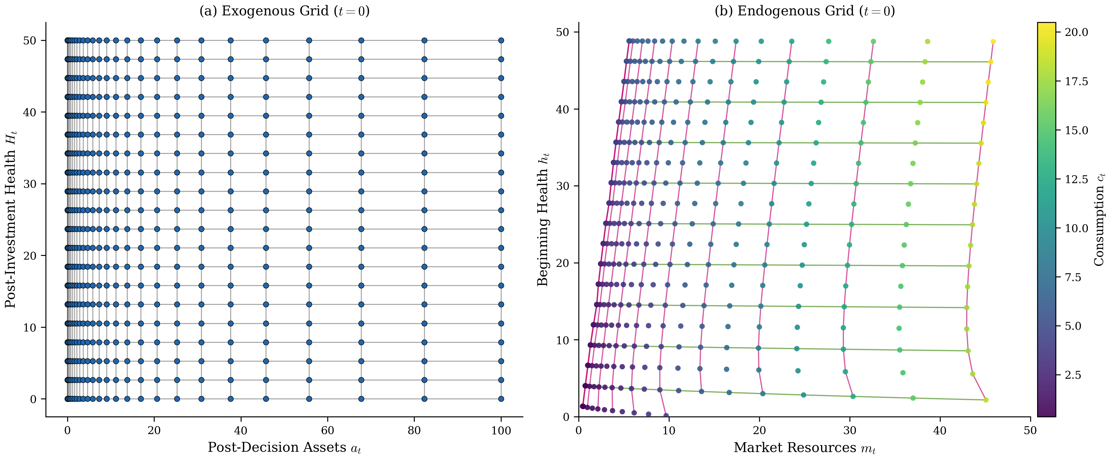 EGM grid transformation for the health investment model at t=0 (the first period of economic life). Panel (a) shows the regular exogenous grid of post-decision assets (\aMat) and post-investment health (\HMat). Panel (b) shows the curvilinear endogenous grid of market resources (\mEndFunc_t) and beginning-of-period health (\hEndFunc_t), with points colored by optimal consumption. The endogenous grid preserves the topological ordering of the exogenous grid despite substantial warping near the constraint boundary, confirming that ENGINE’s index-based interpolation remains valid.